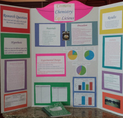 STEM Fair Examples - STEM @ Root PTA Events and Programs